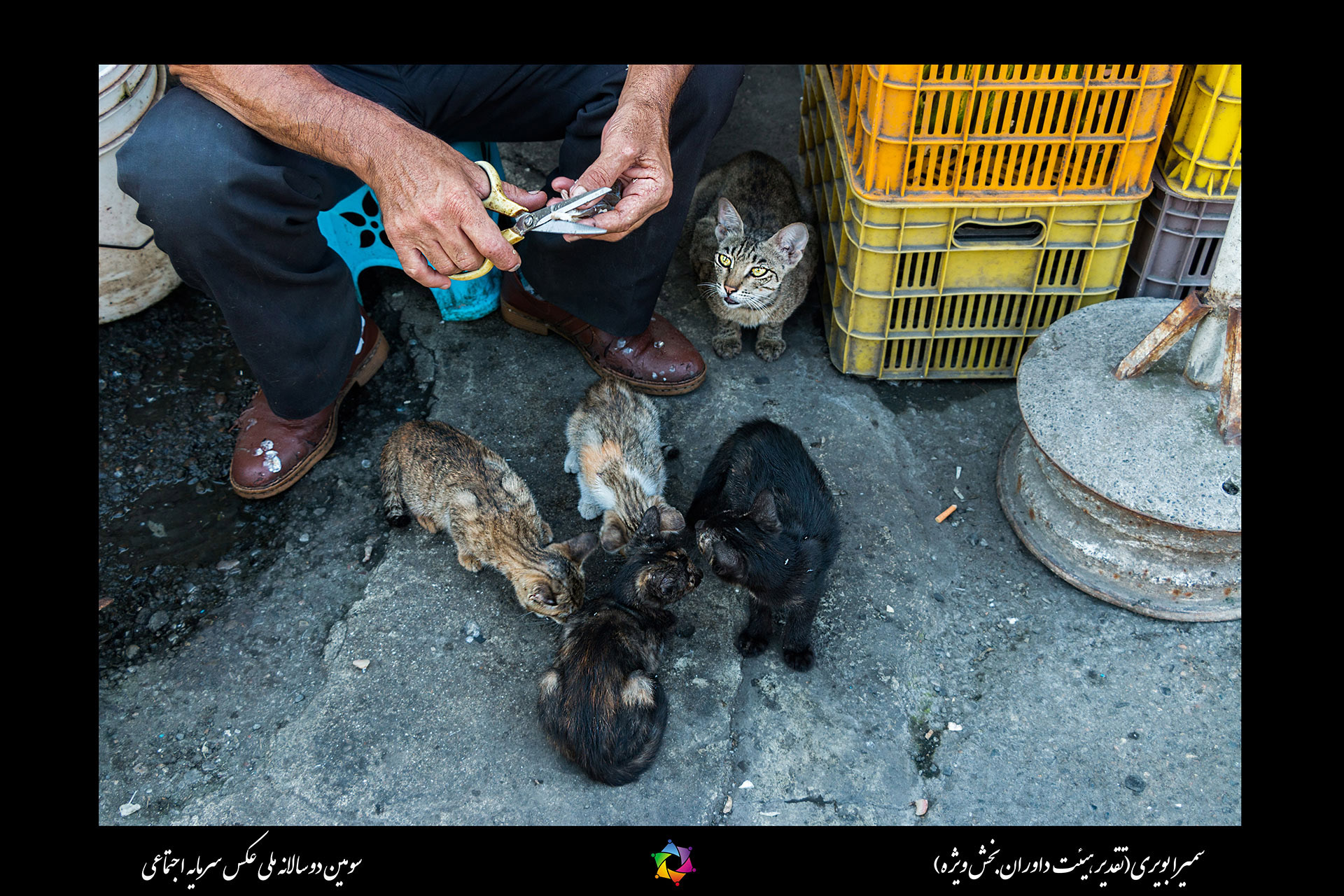 تصاویر برگزیده دوره سوم