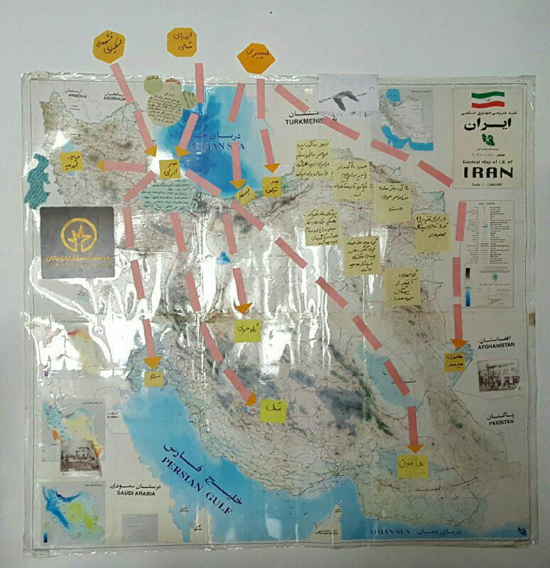 کریدور شمالی پرندگان مهاجر در ایران