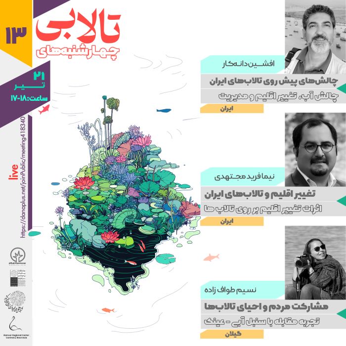 چهارشنبه‌های-تالابی