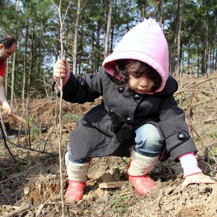 برنامه‌های-اولیه-حوزه-جنگل