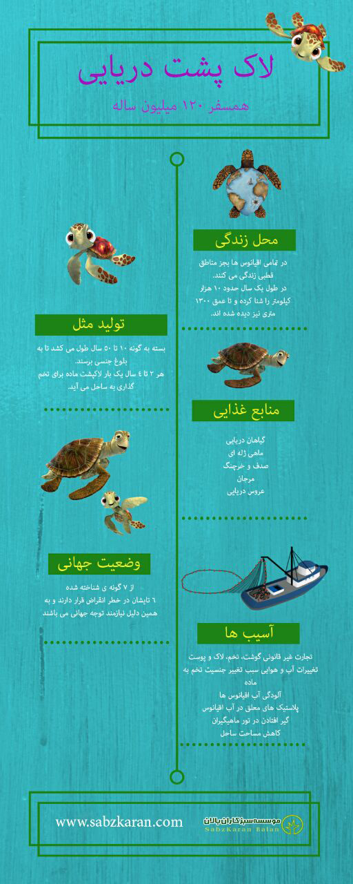 روز جهانی لاک پشت 2